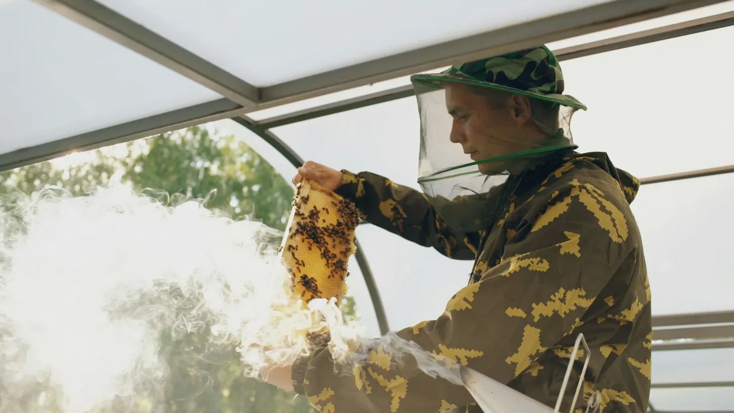 Beekeeper holding a honeycomb frame